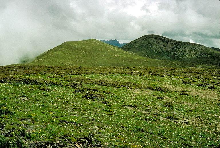 Sichuan:Daocheng Xian. Bowa pass on road from Daocheng to Gongling Sichuan:Daocheng Xian. Bowa pass on road from Daocheng to Gongling