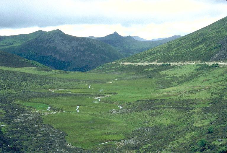 Between Linzhi (Nyingchi) and Bomi (Pome) on highway 318 at Seji (Serkyim) La (pass); 4500 - 4600 m Between Linzhi (Nyingchi) and Bomi (Pome) on highway 318 at Seji (Serkyim) La (pass); 4500 - 4600 m