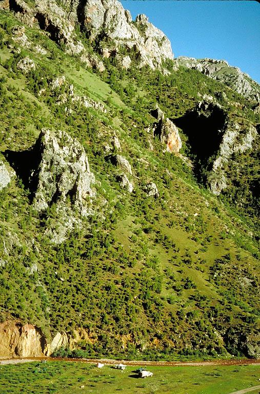 China, Qinghai, Nangqen Xian:ca. 15-20 km E of the town of Nangqen near Zaqu River and Shixia Gou.\r\nCampsite, 22 June 1995  