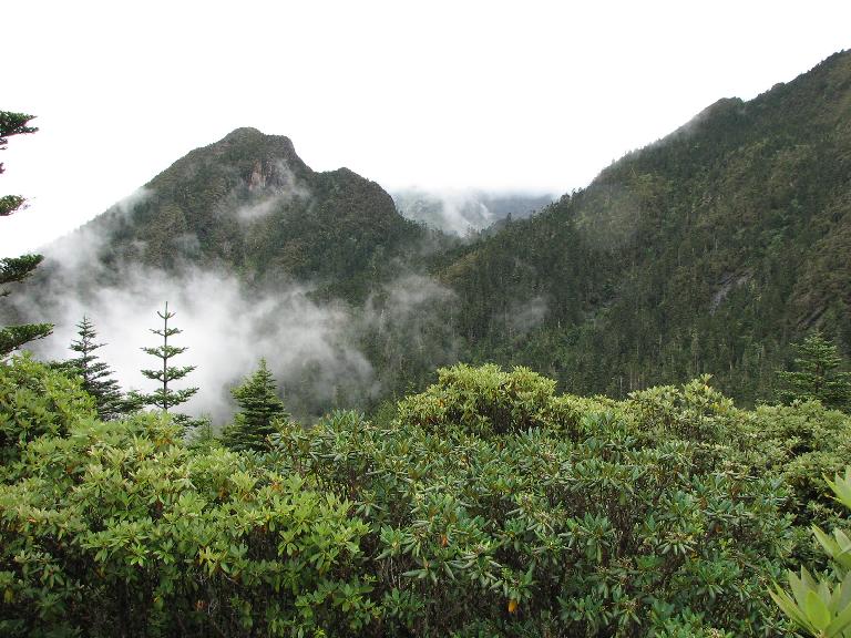 Yunnan:Zhongdian Xian. Haba Xue Shan (Haba Snow Mountain). E side of mountain