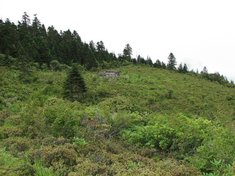 Yunnan:Zhongdian Xian. Haba Xue Shan (Haba Snow Mountain). E side of mountain Yunnan:Zhongdian Xian. Haba Xue Shan (Haba Snow Mountain). E side of mountain