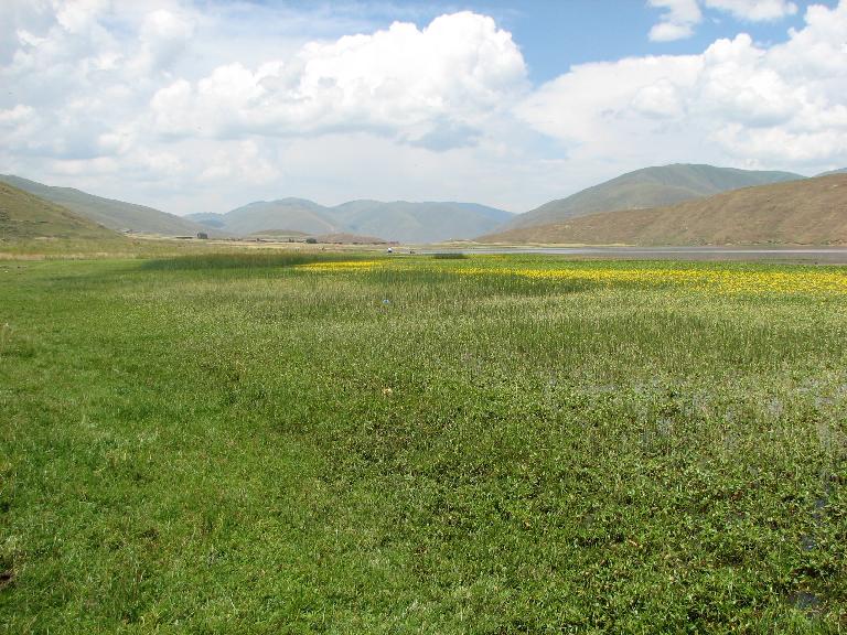 Sichuan: Luhuo Xian. Road (highway 317) between Luhuo and Ganzi (Garze). Zhuwai Pingqü, Kasa Tso (Kasa Lake). 