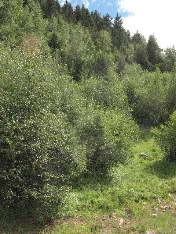 Xizang (Tibet): Riwoqe Xian. Road to Riwoqe from Changdu (Chamdo) from Lancang Jiang (Ge Qu, or Ge River) via Machala coal mine