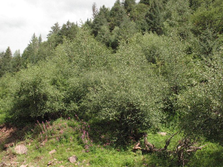 Xizang (Tibet): Riwoqe Xian. Road to Riwoqe from Changdu (Chamdo) from Lancang Jiang (Ge Qu, or Ge River) via Machala coal mine