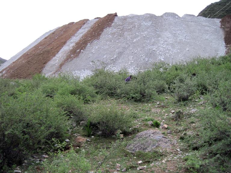 Fill from construction of hydroelectric dams threatening the population of Acanthochlamys