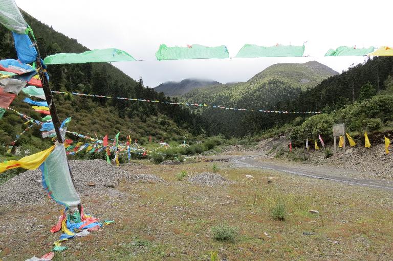 China, Sichuan, Xiangcheng Xian. Sichuan-Yunnan border area. North side of Daxue Shan between Zhongdian and Xiangcheng; 28°35'38"N, 99°50'49"E; 4100-4300 m. China, Sichuan, Xiangcheng Xian. Sichuan-Yunnan border area. North side of Daxue Shan between Zhongdian and Xiangcheng; 28°35'38"N, 99°50'49"E; 4100-4300 m.