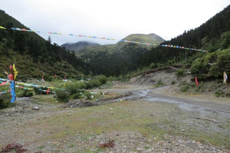 China, Sichuan, Xiangcheng Xian. Sichuan-Yunnan border area. North side of Daxue Shan between Zhongdian and Xiangcheng; 28°35'38"N, 99°50'49"E; 4100-4300 m.