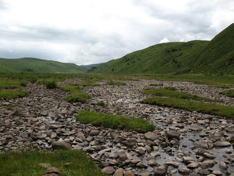 Sichuan:Rangtang (Zamtang) Xian. N of the city of Rangtang (Zamtang) on road to Aba Xian, then E on road to Zhong Rangtang along Maierdi-anma (river), then S along stream ca. half way to Chotuo. 3570-3730 m elevation.