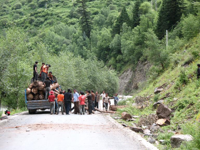 Sichuan:Rangtang (Zamtang) Xian. S of the city of Rangtang (Zamtang) on highway 211. 3130-3300 m. Logging crew along highway 211.