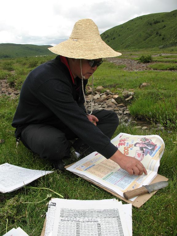 Sichuan: Rangtang (Zamtang) Xian. N of the city of Rangtang (Zamtang) on road to Aba Xian, then E on road to Zhong Rangtang along Maierdi-anma (river), then S along stream ca. half way to Chotuo. 3570-3750 m elevation. HUI Hong pressing Callitriche (39133).