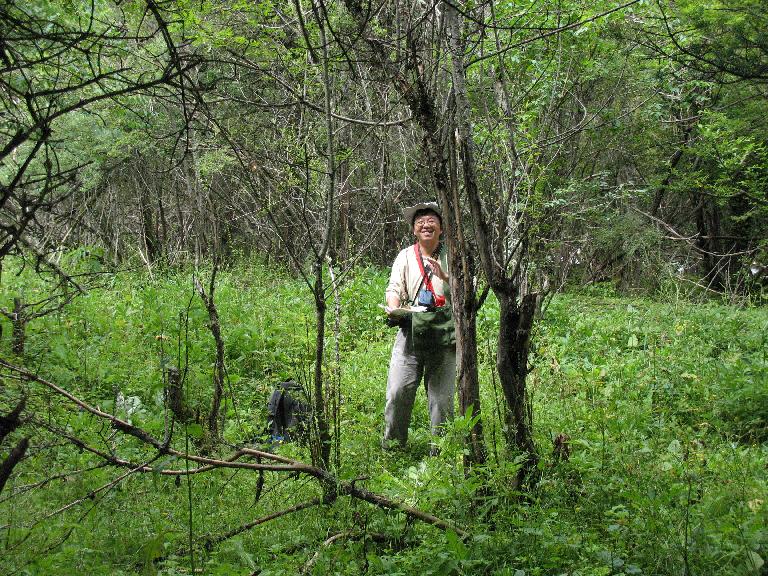 Sichuan:Maerkang (Barkam) Xian. E of the city of Maerkang on road to Li Xian, then S on a dirt road to Maomuchu Cun. JIA Yu in a clearing near the stream.