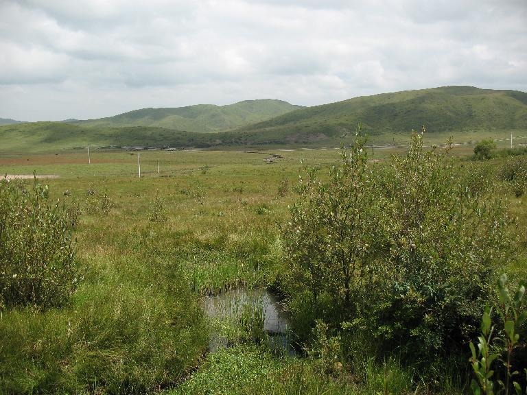 Sichuan:Hongyuan Xian. NE of the city of Hongyuan on road (highway S209) then on road (highway 301) to Songpan Xian at Maiwa Xiang.