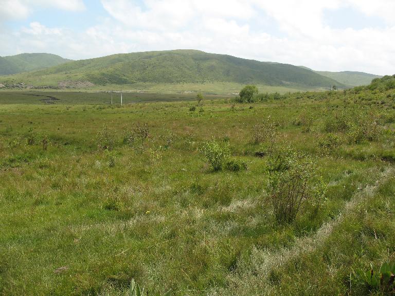 Sichuan:Hongyuan Xian. NE of the city of Hongyuan on road (highway S209) then on road (highway 301) to Songpan Xian at Maiwa Xiang.