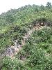 Sichuan: Xiaojin Xian. SW of the city of Xiaojin at Shalong Xiang.