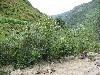 Sichuan: Xiaojin Xian. SW of the city of Xiaojin at Shalong Xiang. Riverbed scoured clean of vegetation by recent flood.