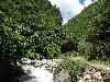 Sichuan: Jinchuan Xian. S of the city of Jinchuan on highway S211 to Dusong Xiang, then W along Sesiman Gou toward border with Maerbang Xiang. 2230-2500 m elevation.