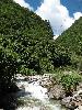 Sichuan: Jinchuan Xian. S of the city of Jinchuan on highway S211 to Dusong Xiang, then W along Sesiman Gou toward border with Maerbang Xiang. 2230-2500 m elevation.
