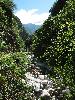 Sichuan: Jinchuan Xian. S of the city of Jinchuan on highway S211 to Dusong Xiang, then W along Sesiman Gou toward border with Maerbang Xiang. 2230-2500 m elevation.