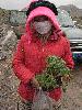 Girl bundled against the cold selling Rhodiola crenulata to passing motorists