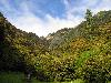 Sichuan, Xiangcheng Xian.  Vicinity of the town of Reda. Rizhao Shen Shan, upper elevations.  Approach to summit of Rizhao Shen Shan