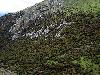 Sichuan, Xiangcheng Xian.  Vicinity of the town of Reda. Rizhao Shen Shan, upper elevations.  Upper slopes of Rizhao Shen Shan