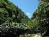 Sichuan:Jinchuan Xian. S of the city of Jinchuan on highway S211 to Dusong Xiang, then W along Sesiman Gou toward border with Maerbang Xiang. 2230-2500 m elevation.